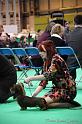 Crufts2011_2 1652